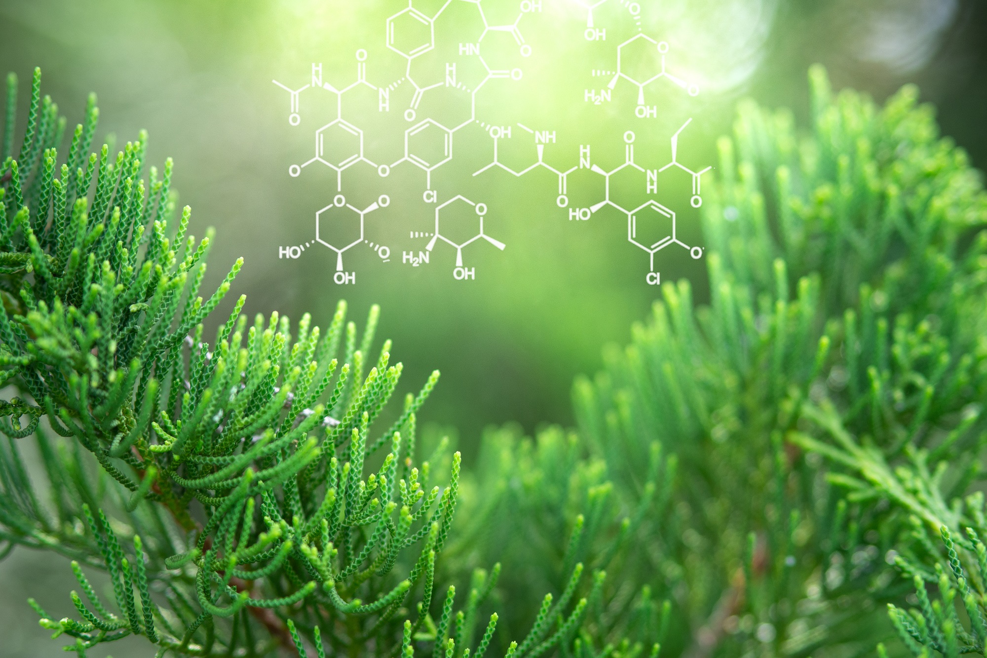 Plants,Background,With,Biochemistry,Structure.