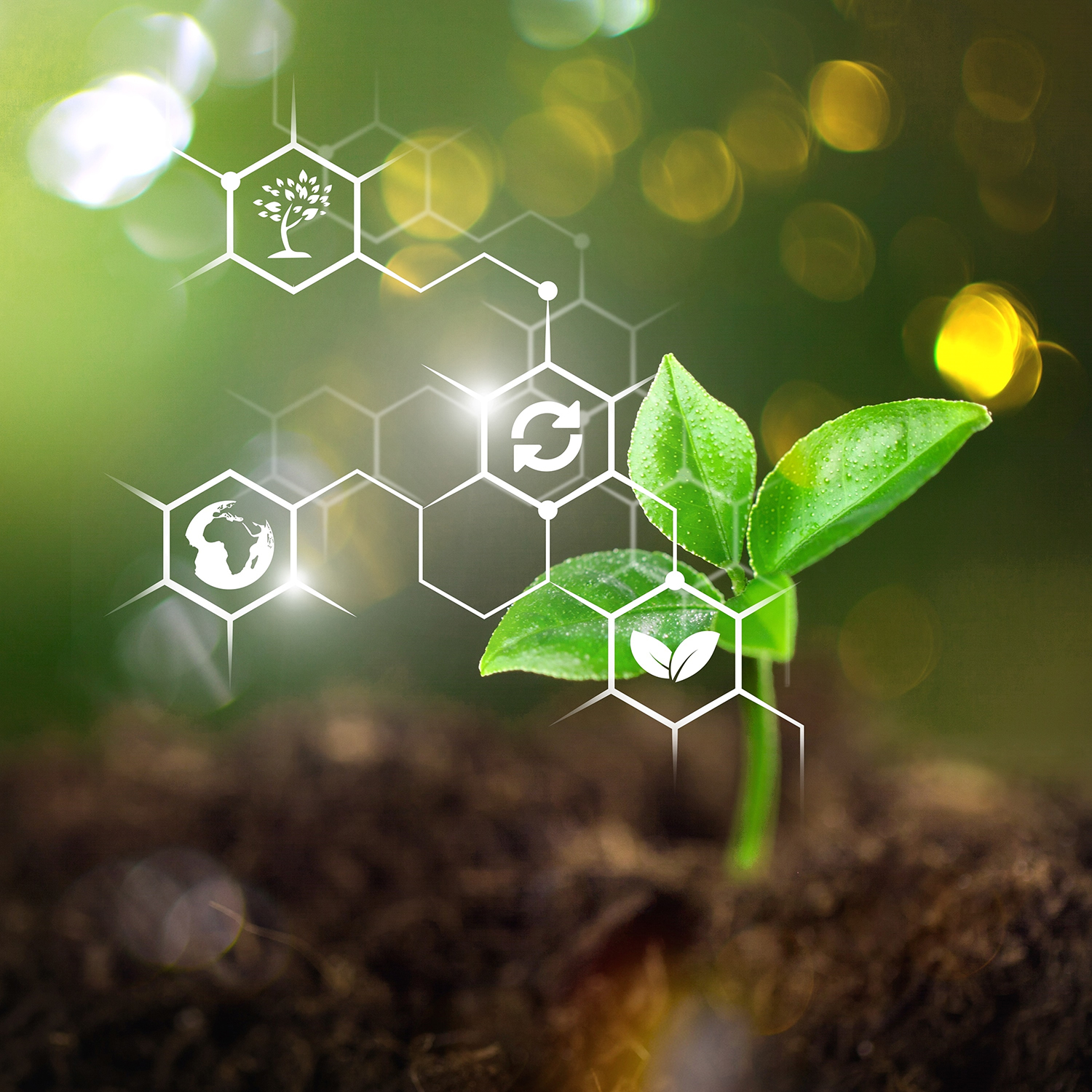 Plants background with biochemistry structure. Copy space using as background or input any text as you wish. Natural and science concept.
